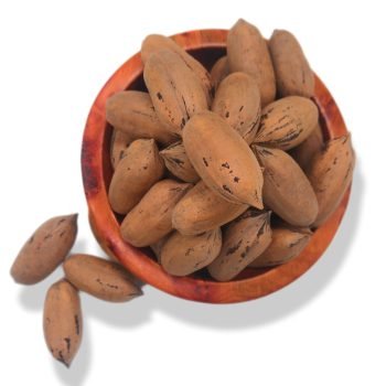 Noix de pecan avec coque باكام بالقشرة