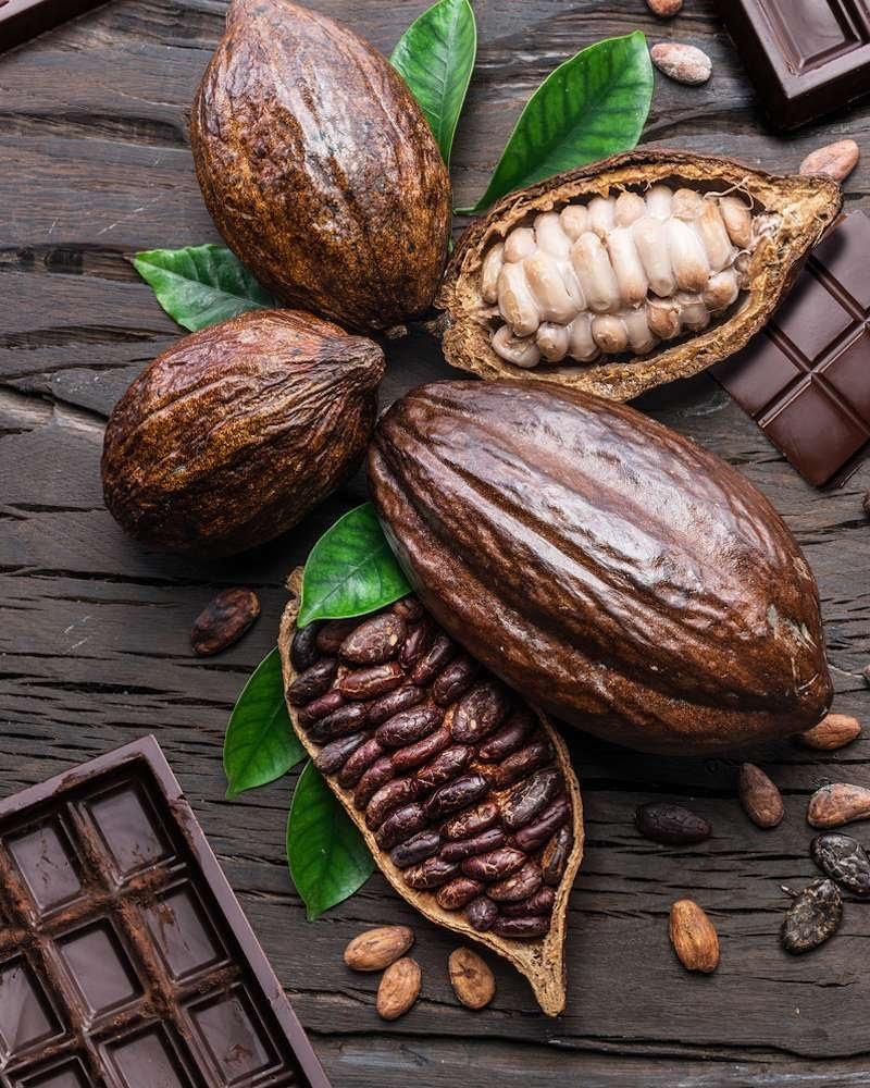Chocolats et cacao الشوكولاتة والكاكاو